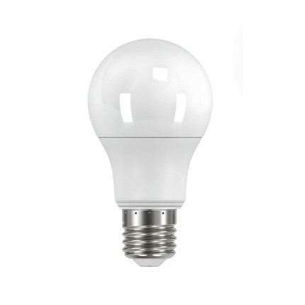 Lâmpada Led Bulbo 15W 6500K-TASCHIBRA