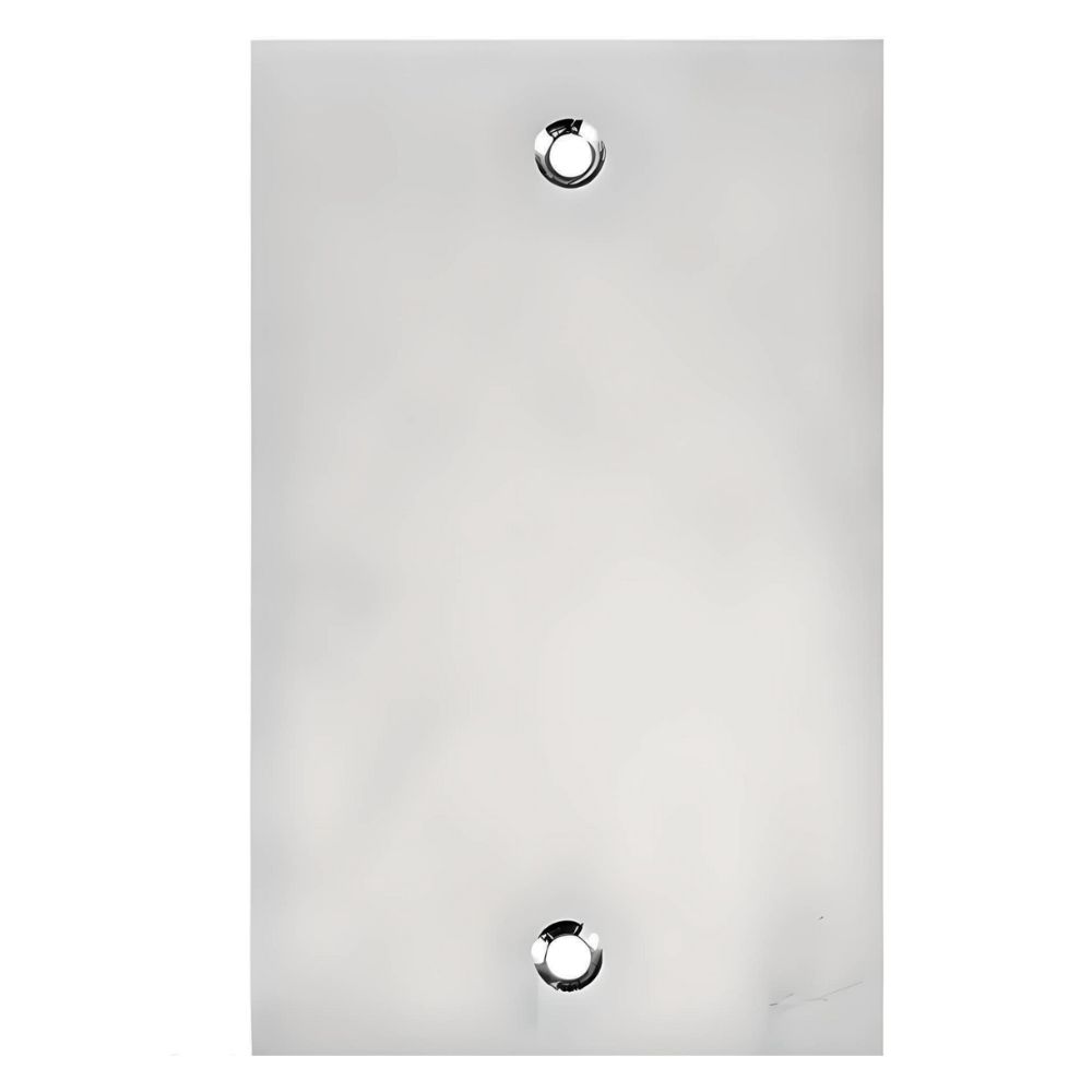 Placa Cega de Piso Inox 4x2"