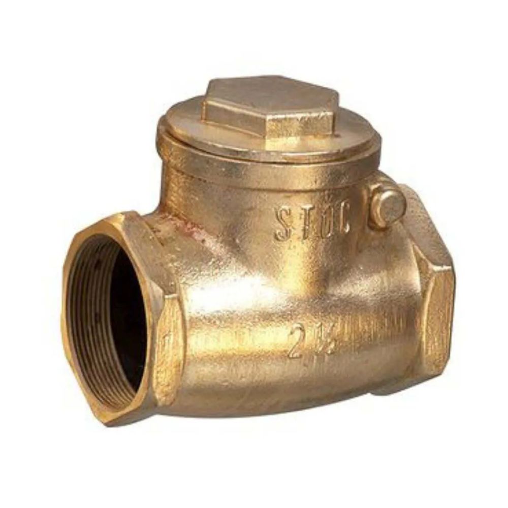 Válvula Retenção Horizontal Portinhola 1"-METROX